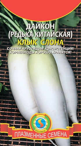 ДАЙКОН (РЕДЬКА КИТАЙСКАЯ) КЛЫК СЛОНА. Плазменные семена
